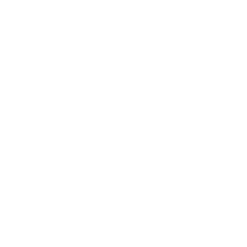 Yari